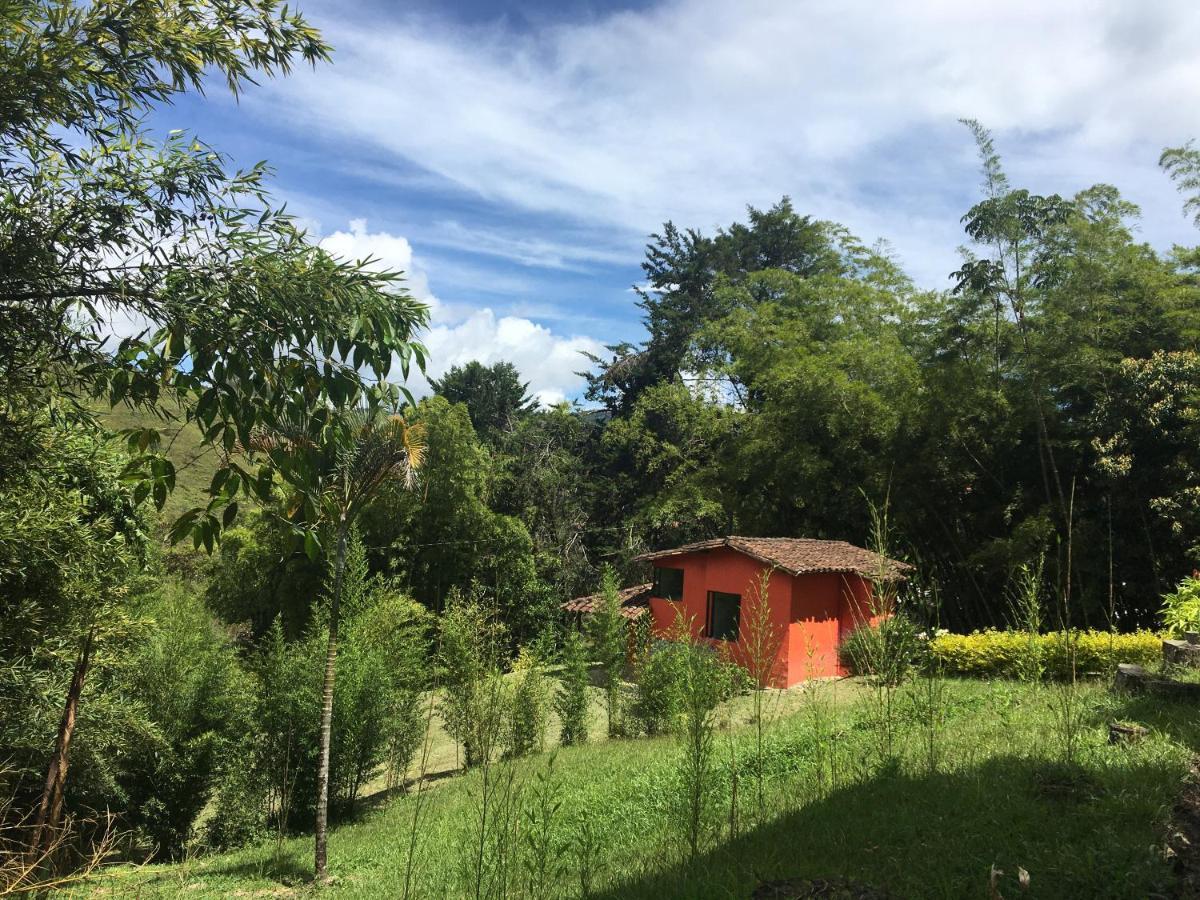 Ecolodge Bahia Del Penon Guatapé Εξωτερικό φωτογραφία