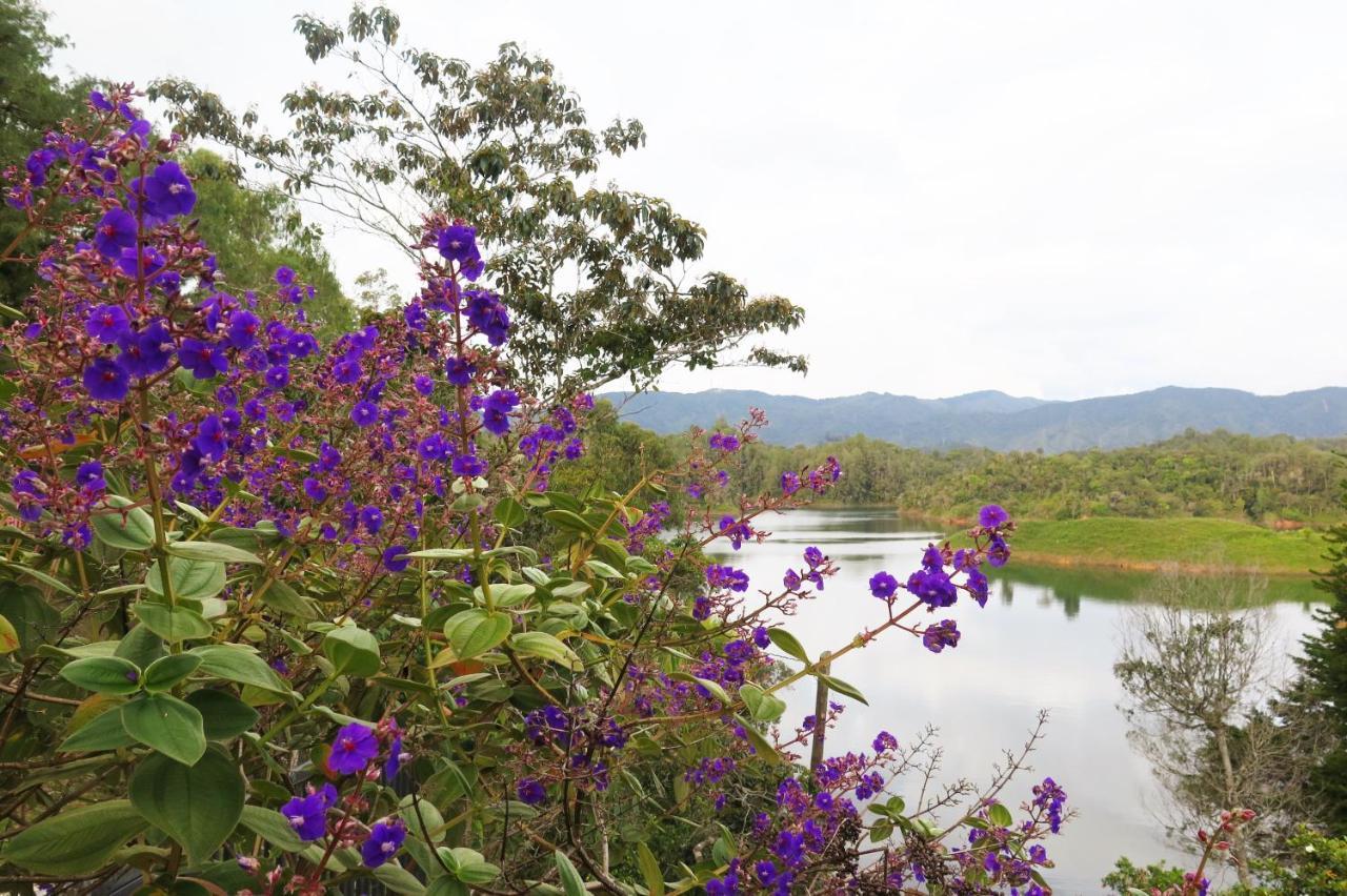 Ecolodge Bahia Del Penon Guatapé Εξωτερικό φωτογραφία