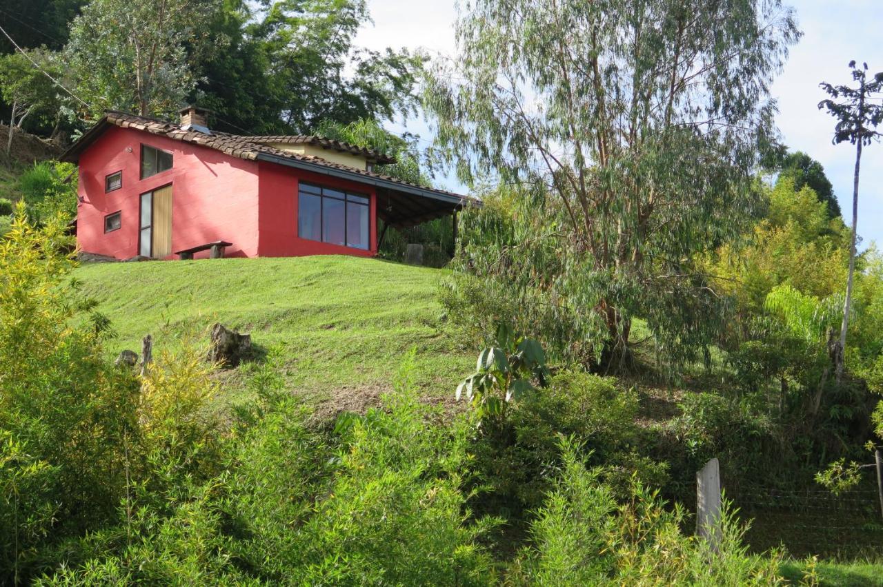 Ecolodge Bahia Del Penon Guatapé Εξωτερικό φωτογραφία