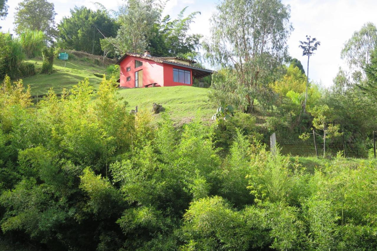 Ecolodge Bahia Del Penon Guatapé Εξωτερικό φωτογραφία