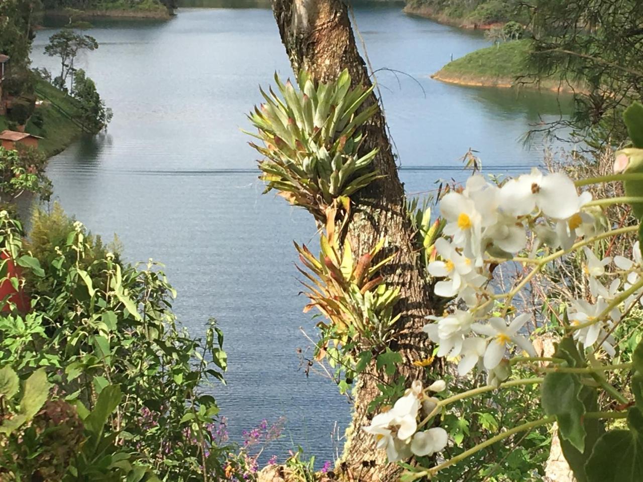 Ecolodge Bahia Del Penon Guatapé Εξωτερικό φωτογραφία