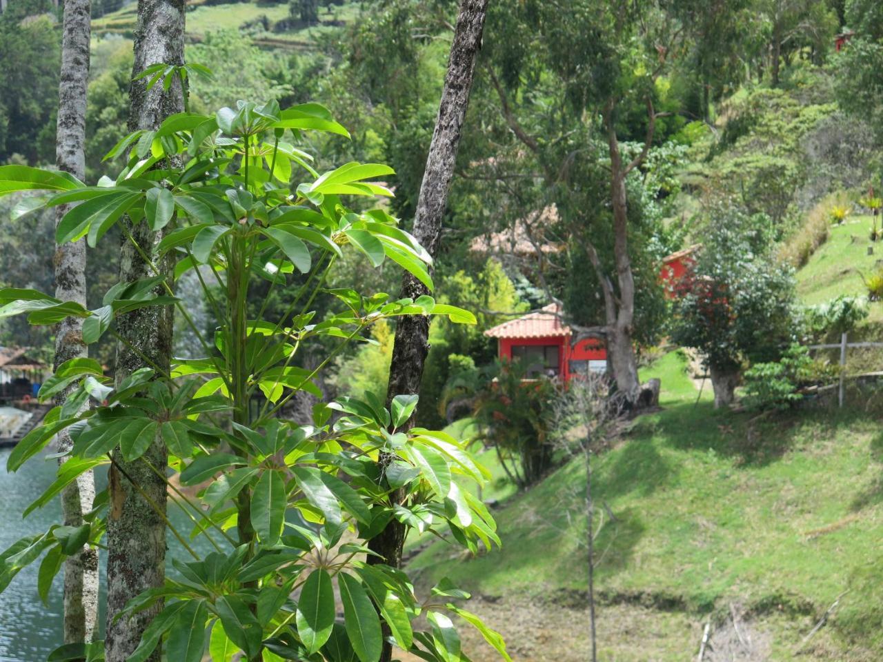 Ecolodge Bahia Del Penon Guatapé Εξωτερικό φωτογραφία