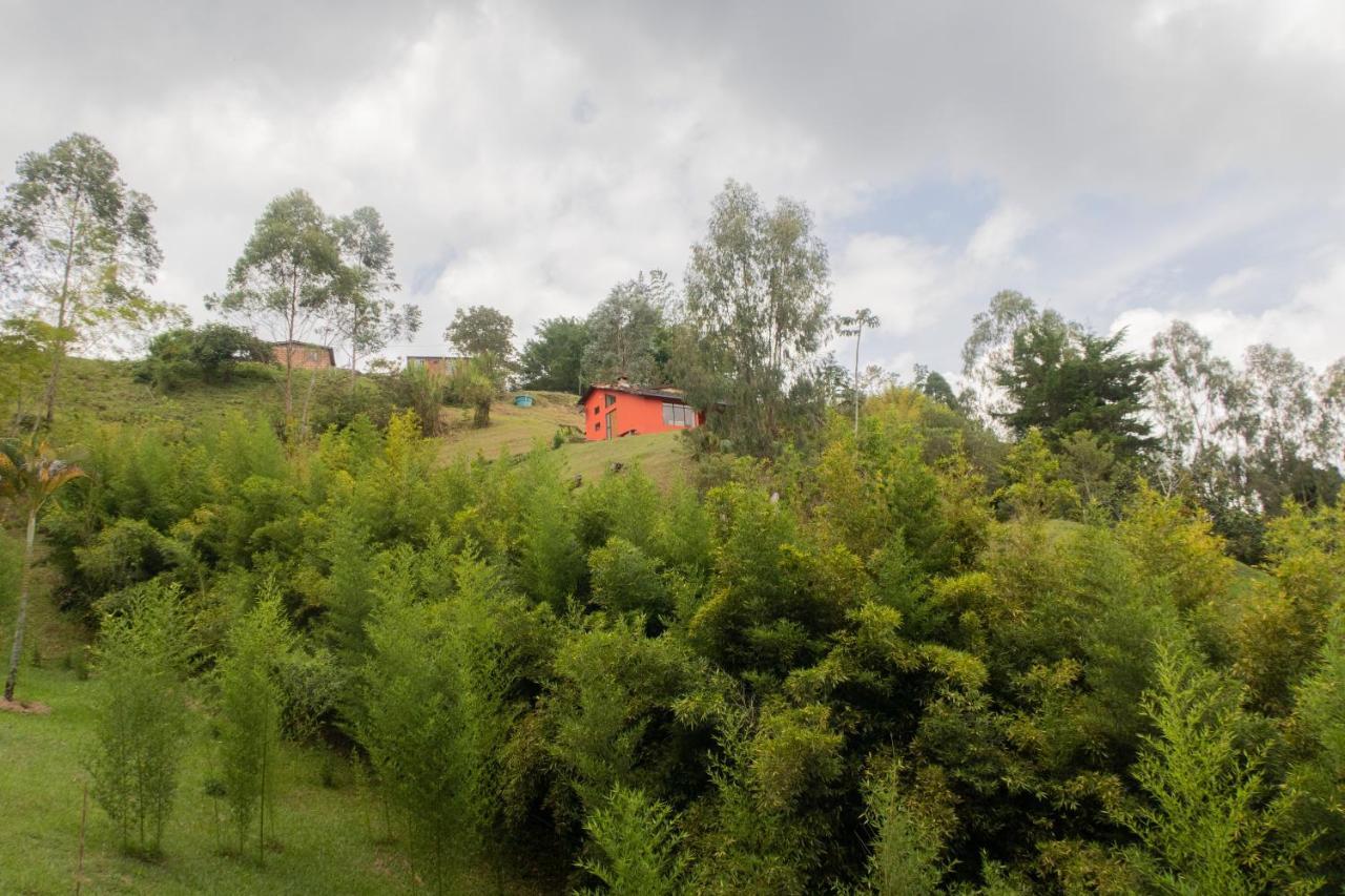 Ecolodge Bahia Del Penon Guatapé Εξωτερικό φωτογραφία